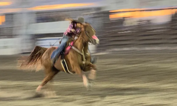 Barrel Racer thumbnail