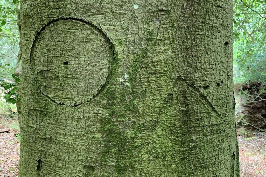 Witches' mark