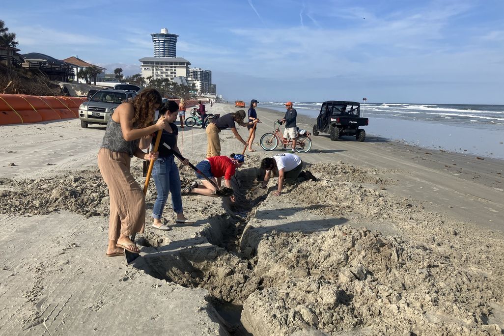 Volunteers and archaeologists digging in the sand