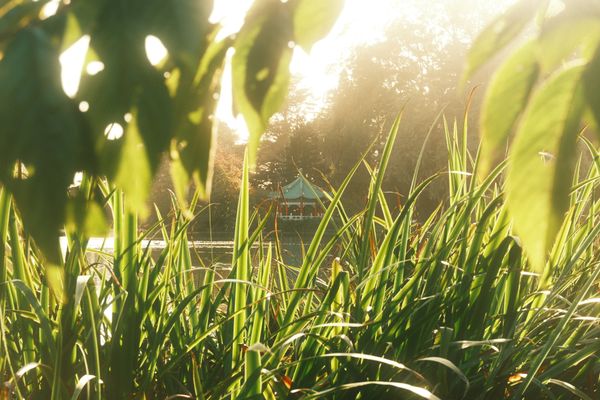 The Chinese Pavilion at Golden Gate Park thumbnail