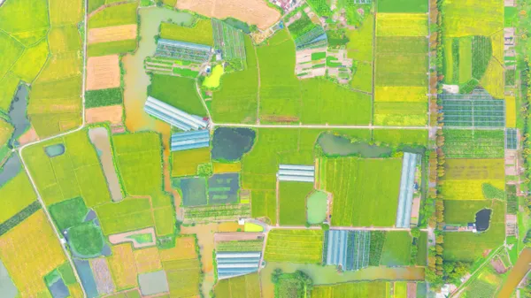 Green farmland thumbnail