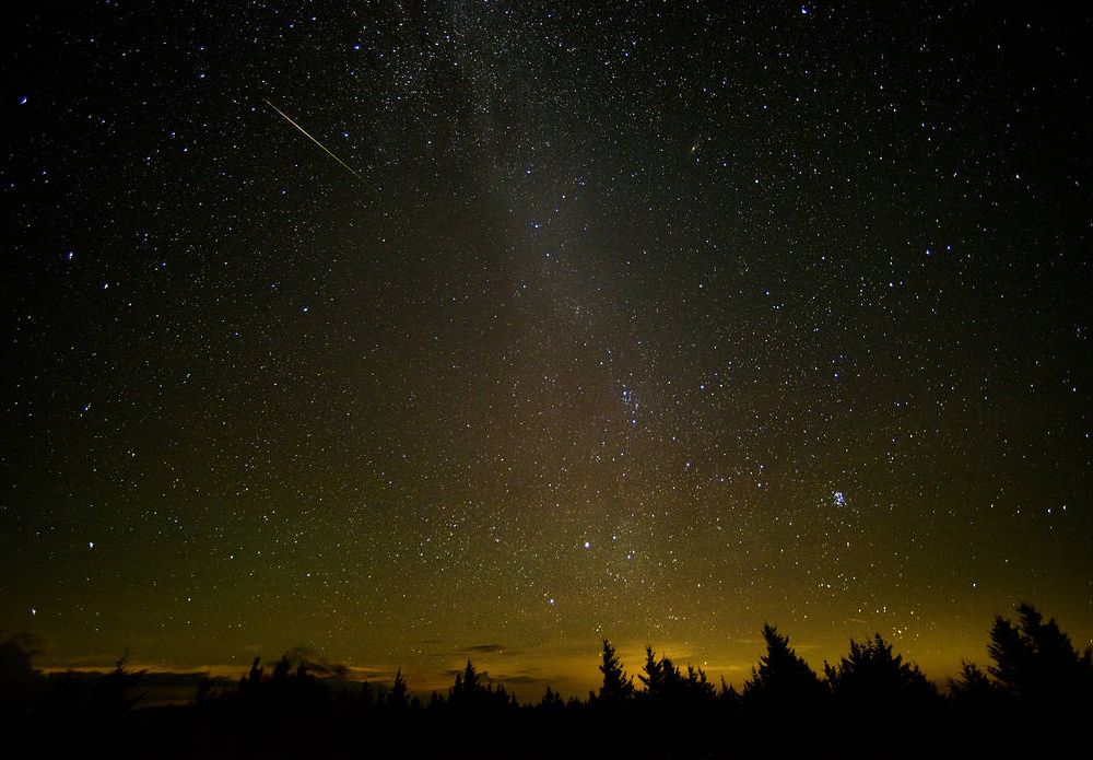 a meteor streak amid stars in a dark sky over evergreen trees and orange light at the horizon