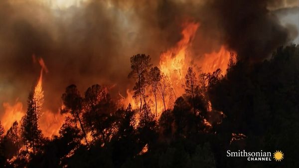 Preview thumbnail for Drones Are Now Being Used to Battle Wildfires