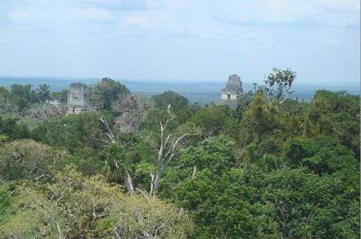 tikal_view27.jpg