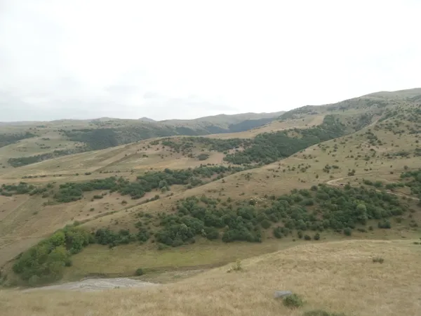 The Pasture thumbnail