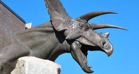 A sculpture of Torosaurus