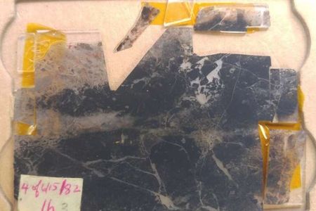 The rock from the Apex Chert in which the fossils were found