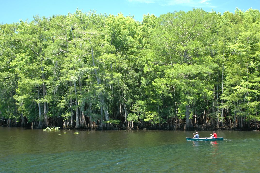 Why Florida’s Lower Suwannee Is an Outdoor Lover's Paradise