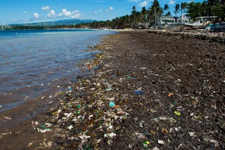 New models of ocean currents suggest that the oceanic gyres thought to collect garbage actually have "exit doors" that allow plastic to eventually wash up on the shores of North and South America.