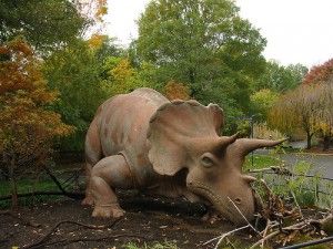 20110520083135uncle-beazley-triceratops-zoo-300x225.jpg