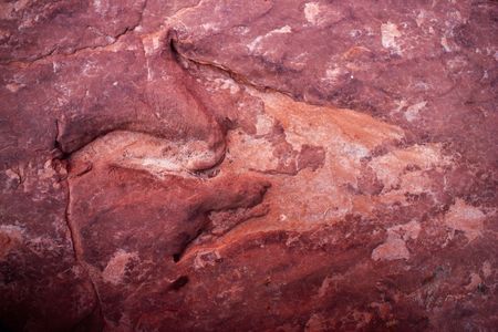 This dinosaur footprint was found in sandstone at Dinosaur Track at Hackberry Canyon in Grand Staircase-Escalante National. A proclamation recently signed by President Trump would reduce the protected area by half.
