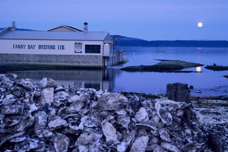 Shucked oyster shells lay beneath the moonlight at Fanny Bay Oyster Company on Vancouver Island in British Columbia, Canada.