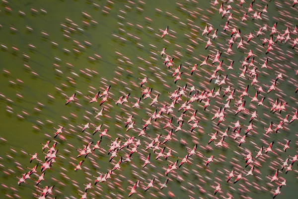 In Perfect Sync thumbnail