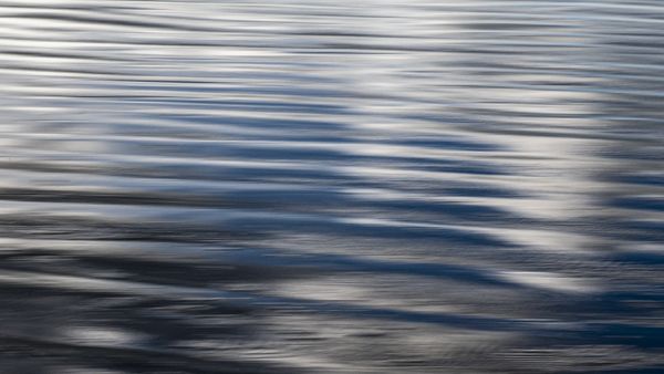 Reflecting a Wet Beach thumbnail