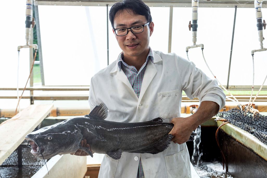 Researcher in white lab coat holds up a catfish