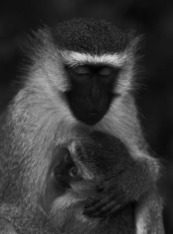 Mother Mary thumbnail