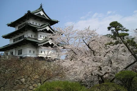 Hundreds of people pulled the keep of Hirosaki Castle closer to its original position.