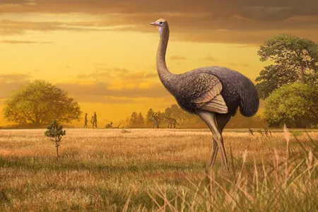 An artist's interpretation of what life could have been like if ancient humans and ancient ostriches crossed paths.