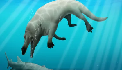 Whales Once Walked Along the Coasts of North America