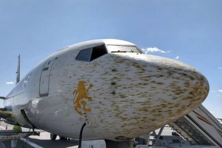 Locusts waged a smear campaign against this Ethiopian airliner, forcing it to make an emergency landing in Addis Ababa in January.