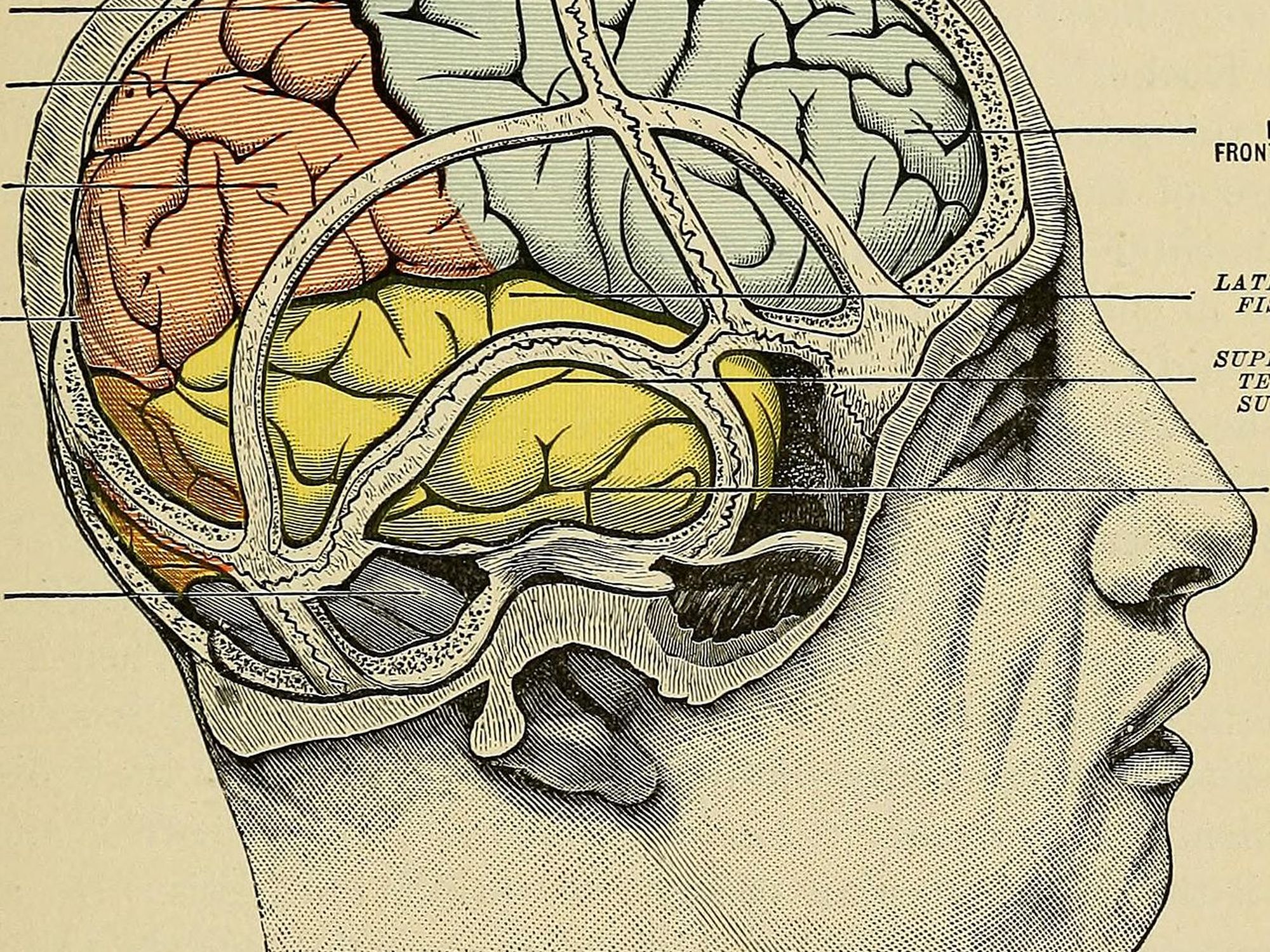Ancient Brain Training Technique Can Boost Memory