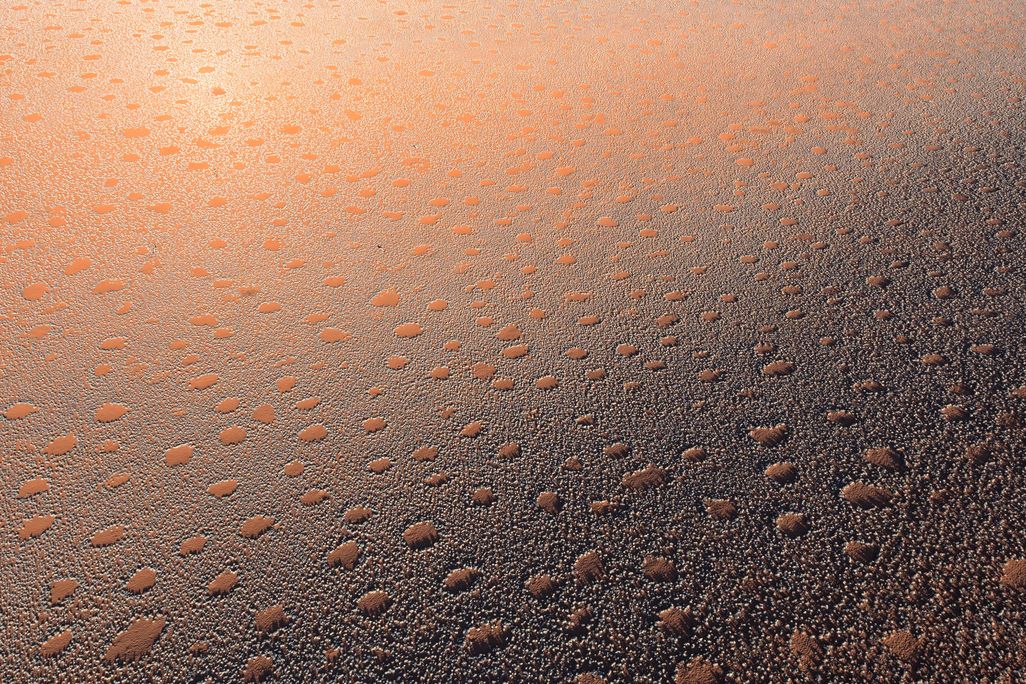 Fairy Circles