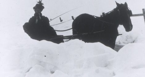 Let your horse sleep in today. Smithsonian museums don’t open until noon due to weather.