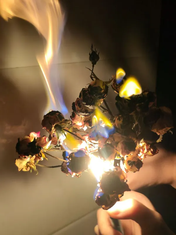 Flames bestow a second life upon flowers thumbnail