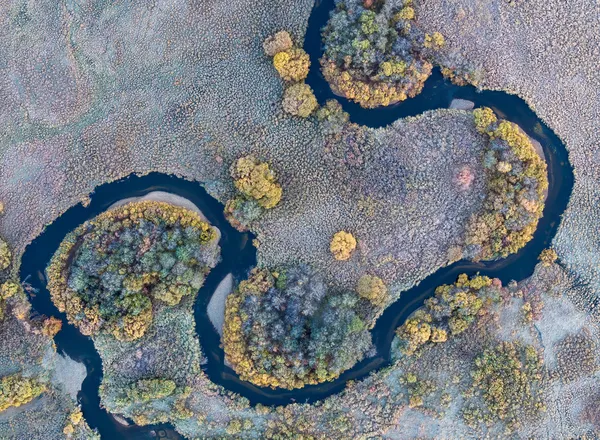 Autumn scenery of wetland thumbnail