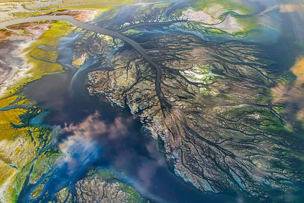 The Veins of the Earth: Aerial River Delta thumbnail