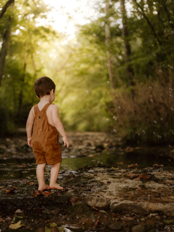 Whispers of Wonder thumbnail