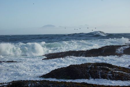 As the ocean continues to warm, scientists look to the past for answers on how to manage today’s environmental problems. (Sophie McCoy/NOAA)