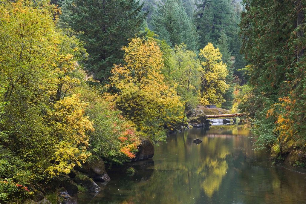 Umpqua National Forest