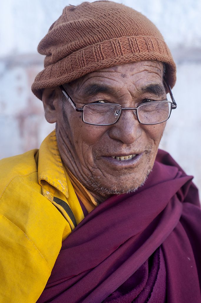 Llama in yellow and red at Ki Monestary Spiti Valley Himalayas ...