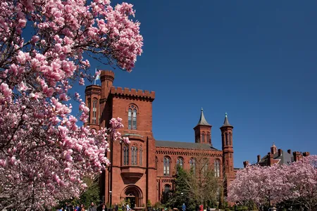 “We look forward to building two world-class museums to further amplify these stories and help our country learn more about the impact that women and Latinos have had on the fabric of our nation,” says a Smithsonian spokesperson.