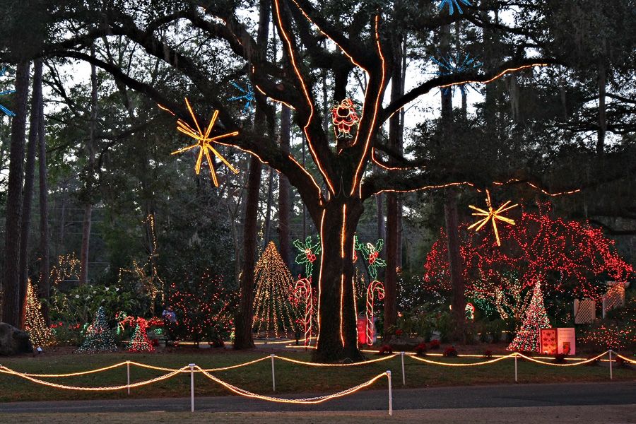 Christmas lights for the community at Dorothy Oven City Park
