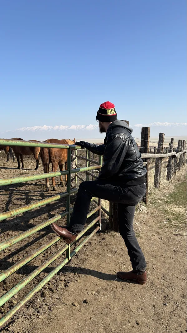 Cowboys Horses and a winter afternoon thumbnail