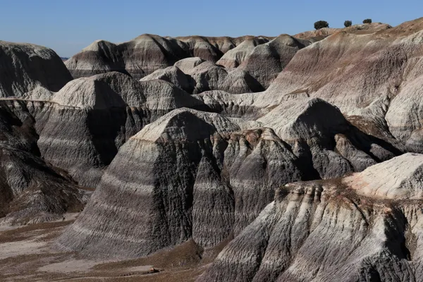 Blue Mesa thumbnail