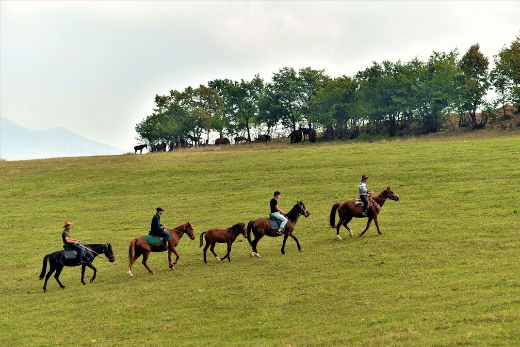 Four people on horseback ride in a single-file line through a field.