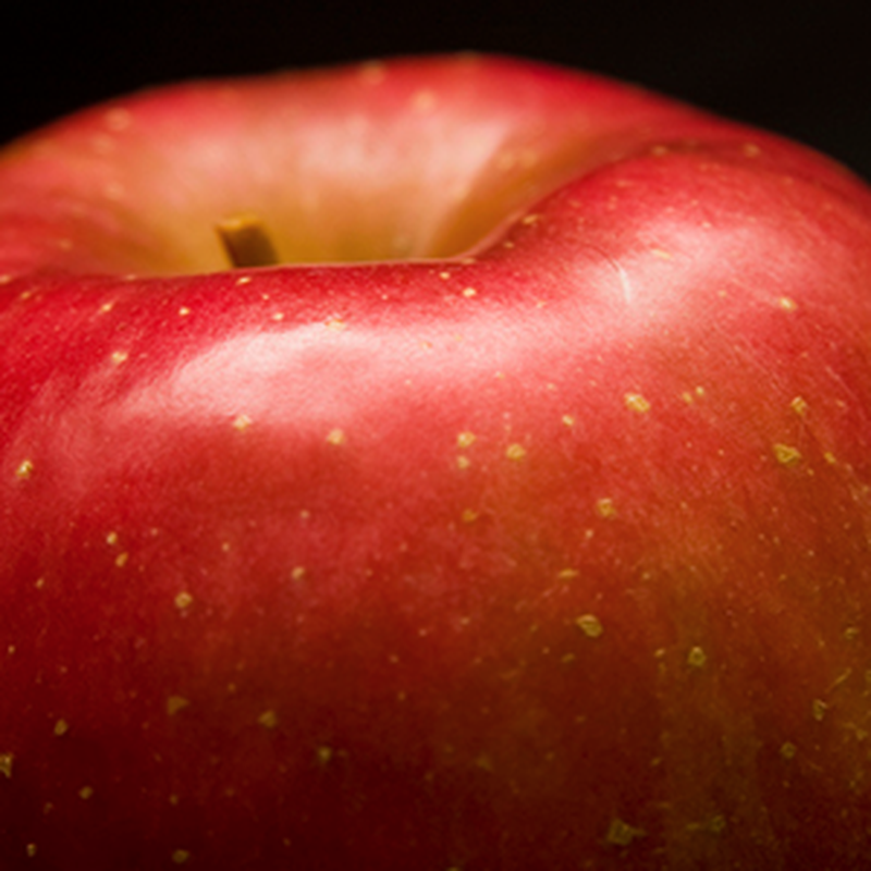 Fuji Apples Are Ready! Tomatoes Still Available but Winding Down