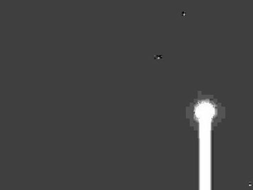 phoenix-last.jpg