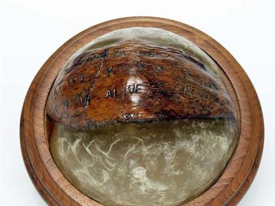 The coconut that John F. Kennedy carved a message into while stranded during his Navy service in 1943. During his term as president, the coconut sat on his desk in the Oval Office. 