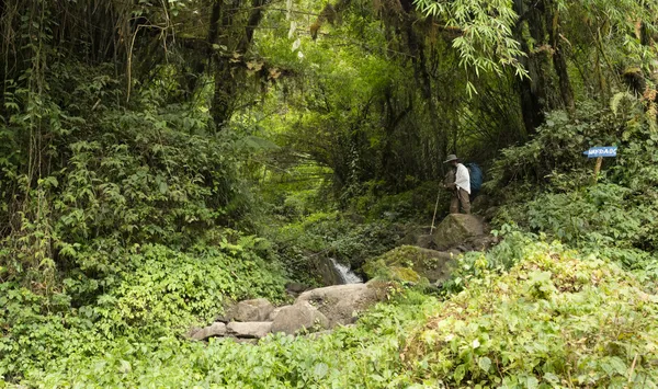 Walk The Green thumbnail