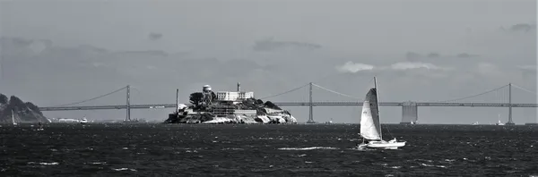 Catamaraning Around Alcatraz thumbnail