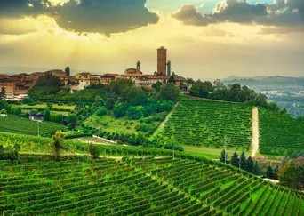 Northern Italy and Southern France: A Tailor-Made Culinary Experience description