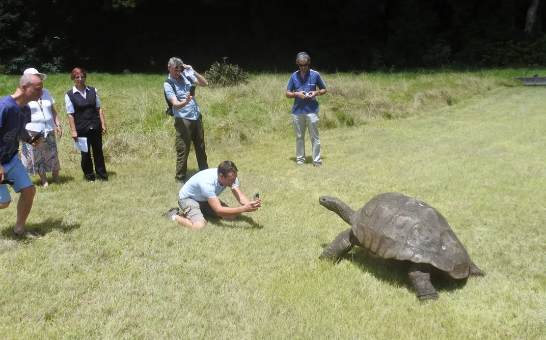 a small group of people photographs a giant tortoise, one kneeling in front of the animal