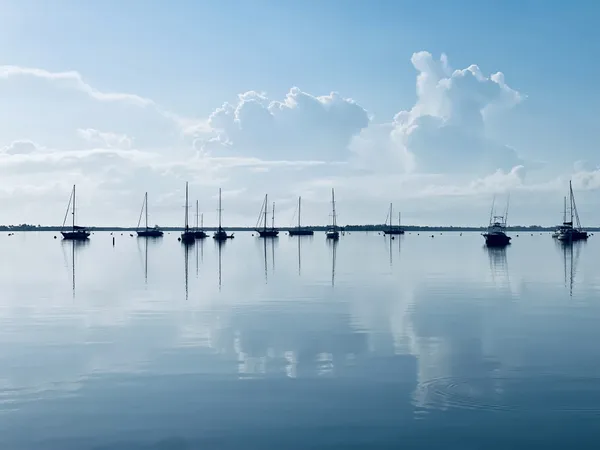 Sailboats in the Indian River Lagoon thumbnail