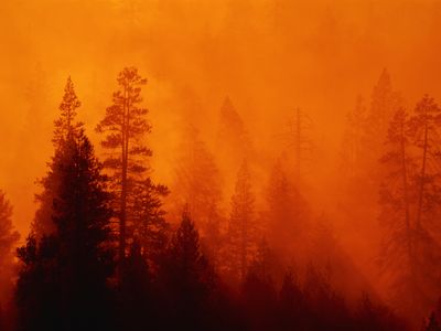 An undated photo of a forest fire in Yosemite 