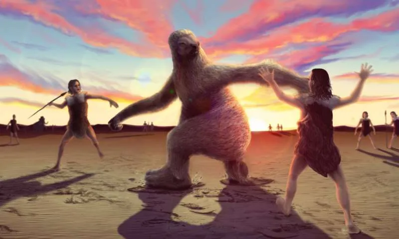 Sloth Fight