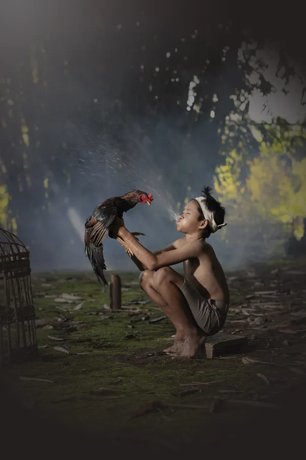 Happy Little Boy thumbnail